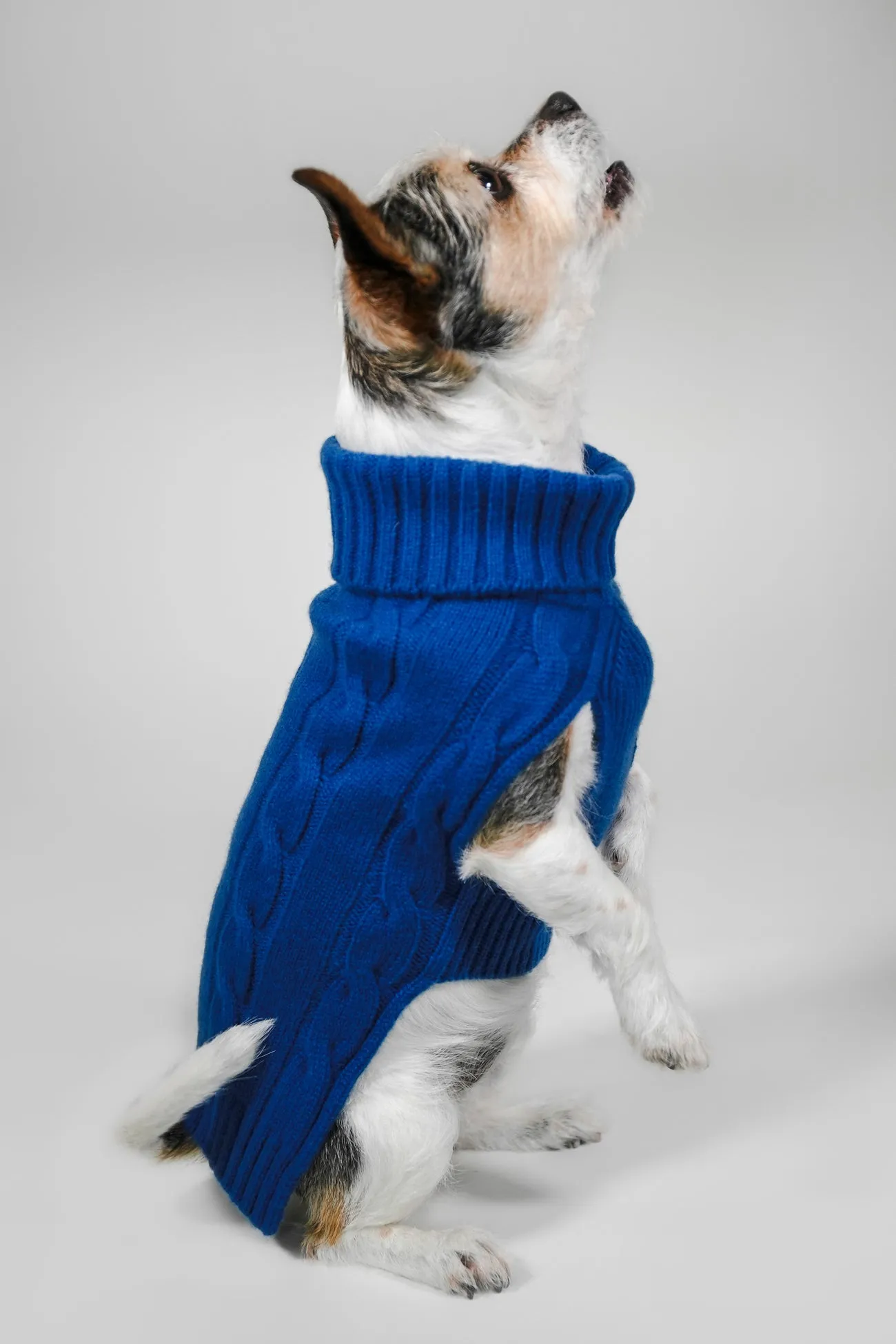 CABLE DOG SWEATER