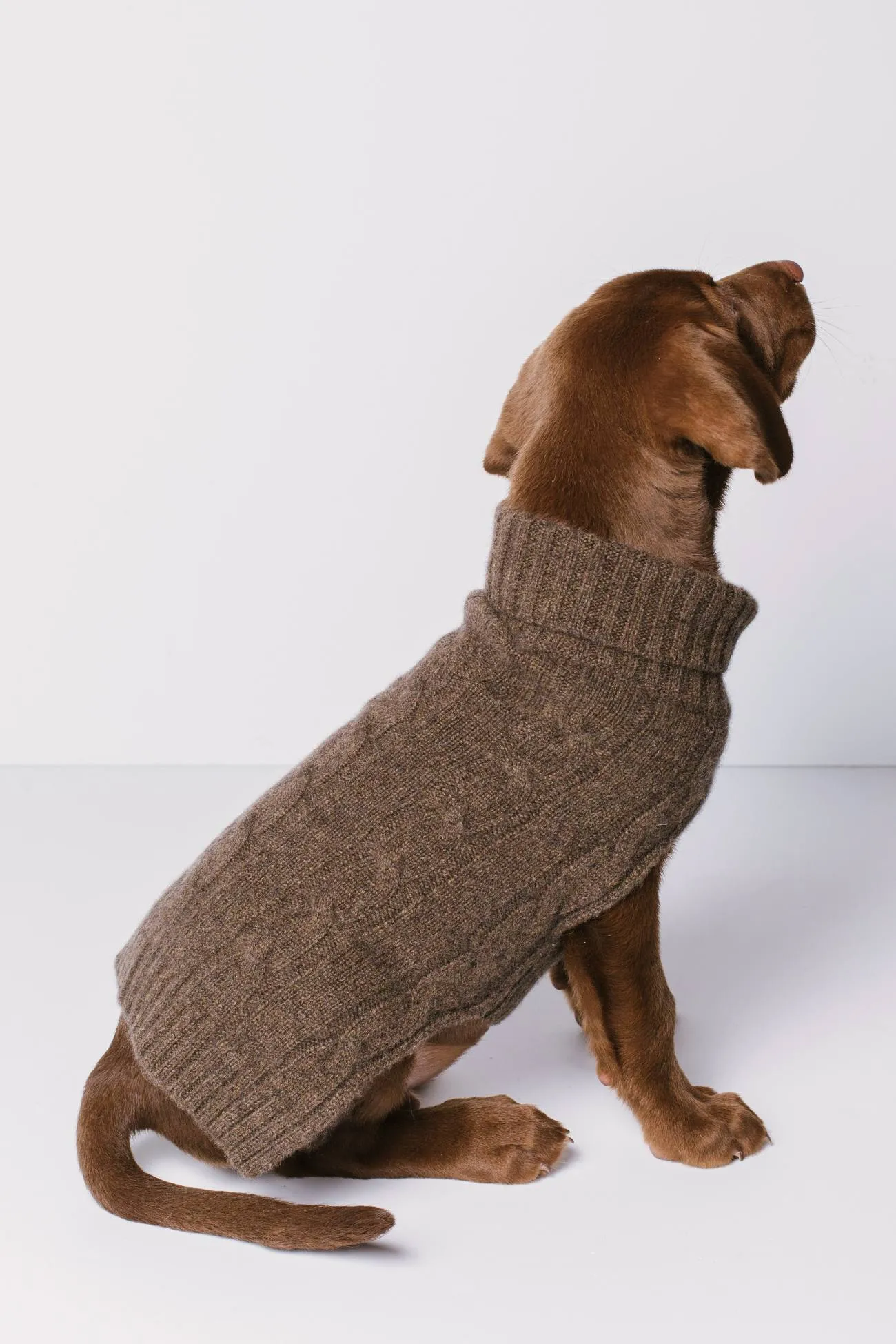 CABLE DOG SWEATER