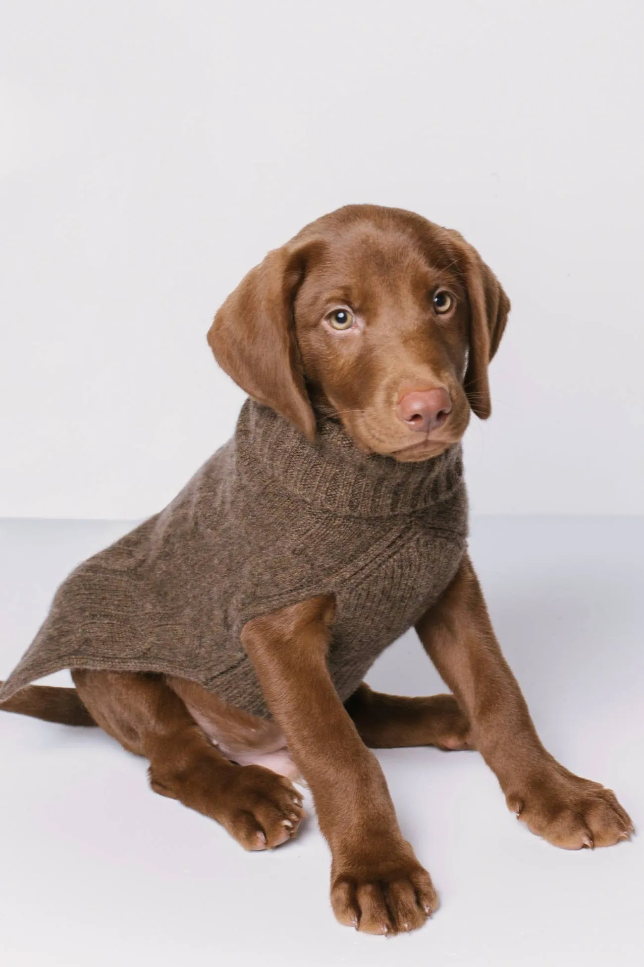 CABLE DOG SWEATER