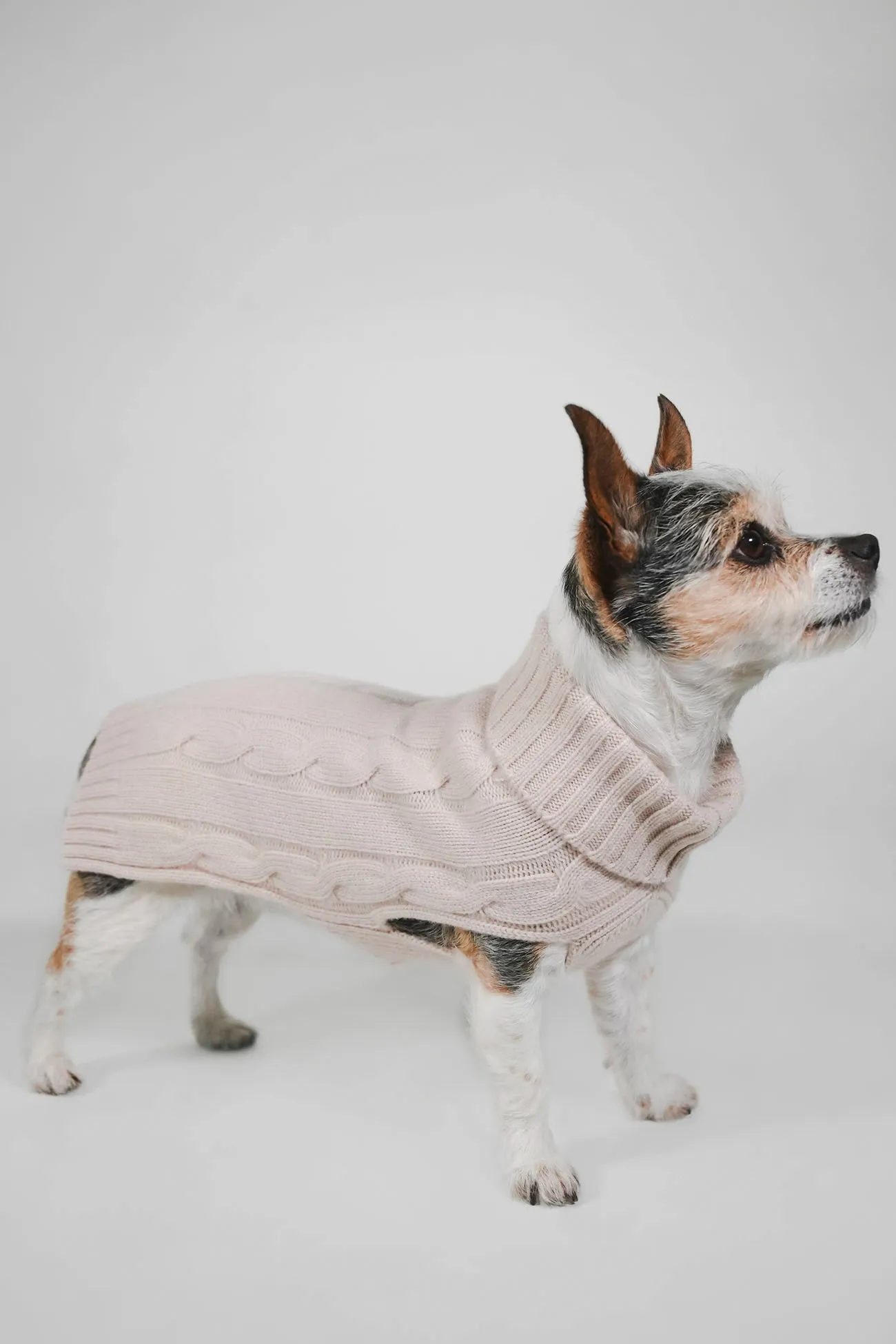 CABLE DOG SWEATER